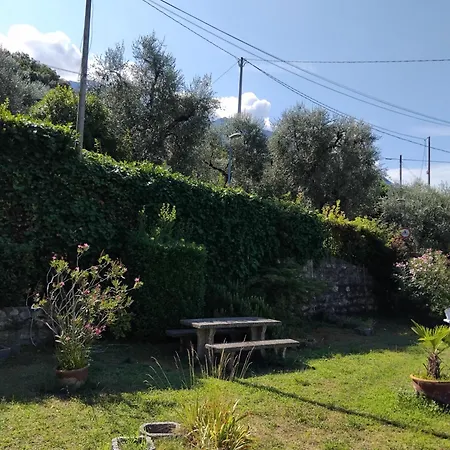 Panoramic Garden With View 아파트 *